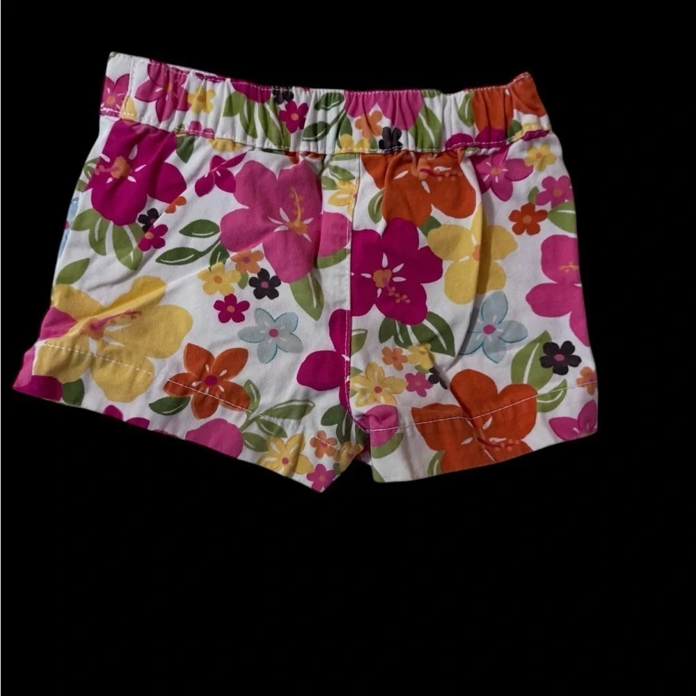 Gymboree Embroidered Graphic Short Sleeve Top And Pull On Shorts Set k155